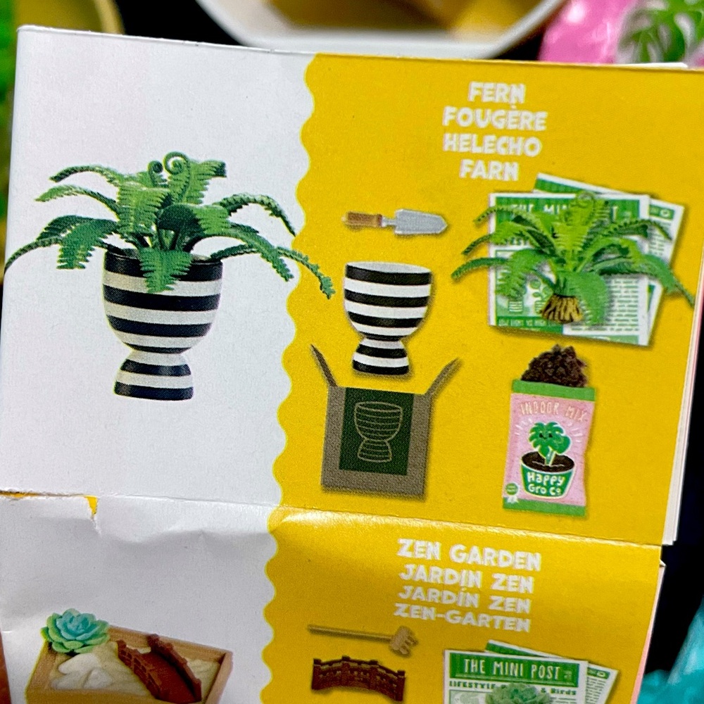 Mini Verse Fern